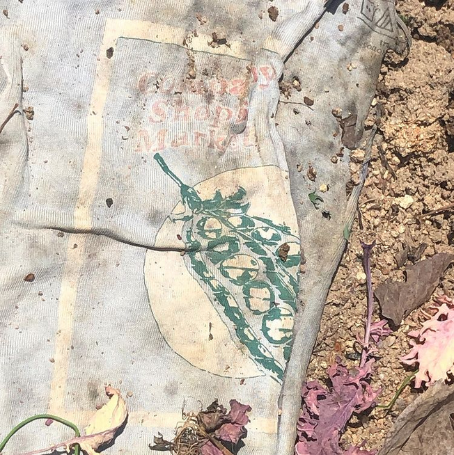 Close-up of a TS Design shirt laying on the ground in a garden