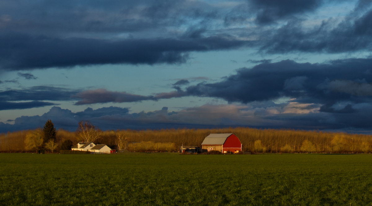 A landscape of a green field wiht a red barn and white house in the distance