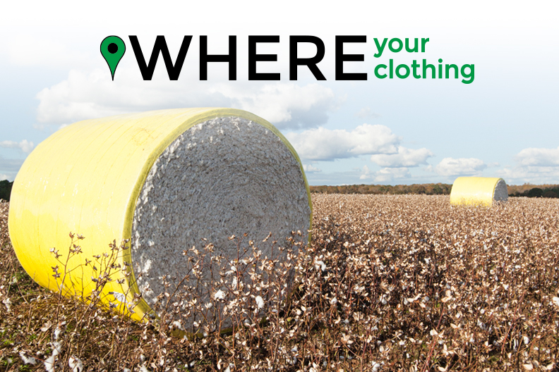 Where Your Clothing Logo and a Cotton Field where our Cotton of the Carolinas shirts are grown. 