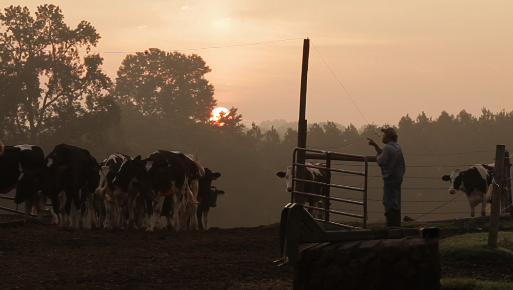 randy lewis on his farm at sunset. photo by Jason Arthurs