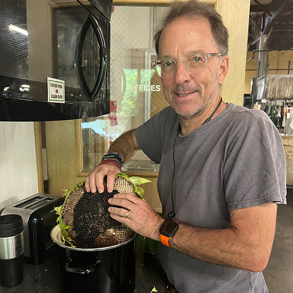 Image of Eric Henry harvesting the seeds from a sunflower for natural dye.