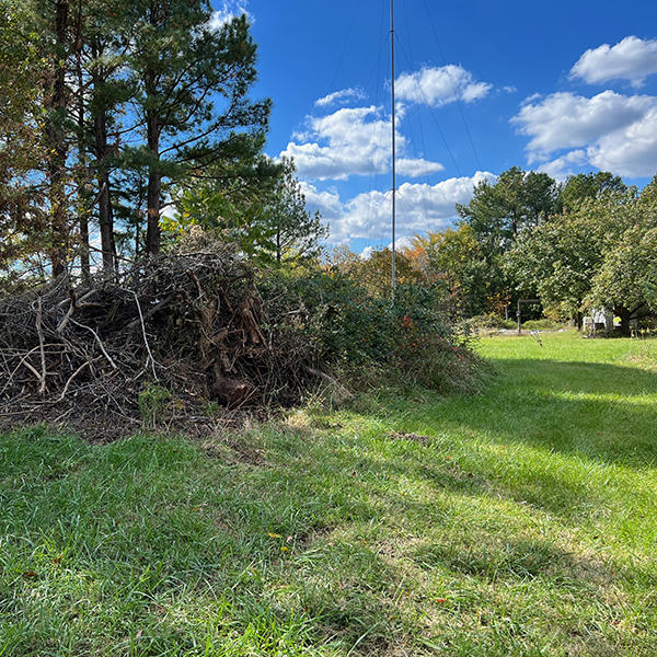 Image of pile of fallen trees to create eco-diversity.